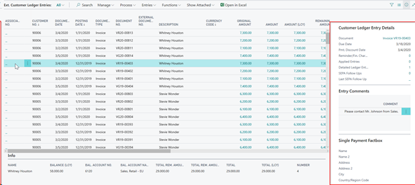 Customer Ledger Entry Details